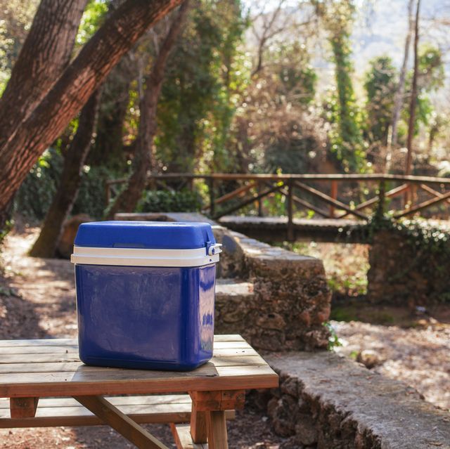 A view of a blue cooler placed on a bench