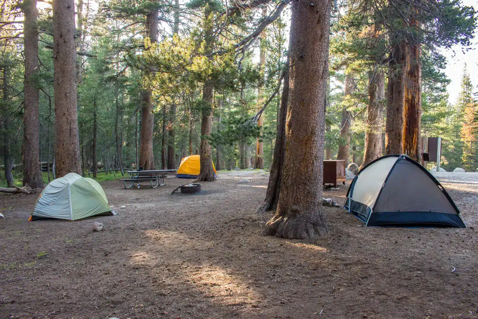 campinn tents set up in forest