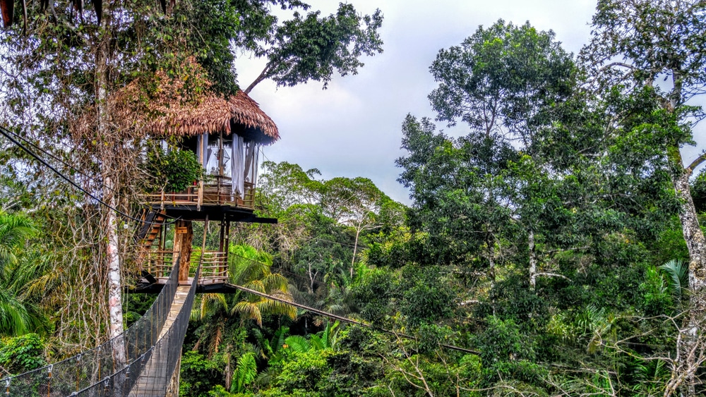 Treehouse Glamping And Suspension Bridge